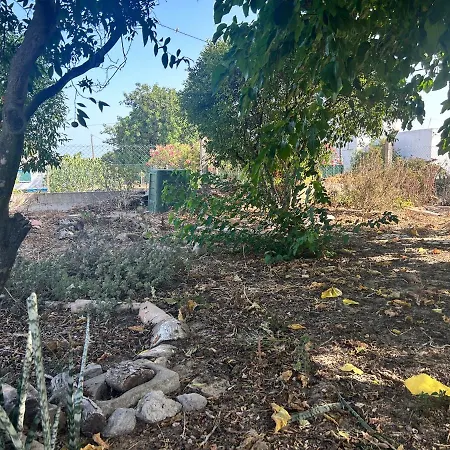 Ritmo Do Mar Appartement