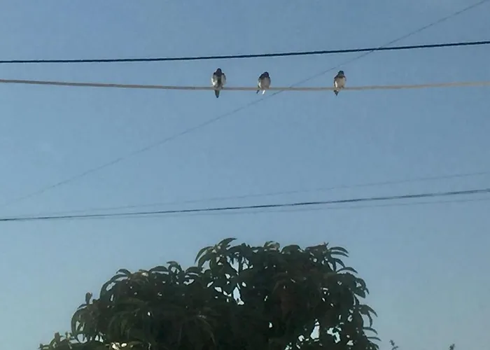 Ritmo Do Mar * Quatrim do Sul