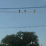 Ritmo Do Mar * Quatrim do Sul