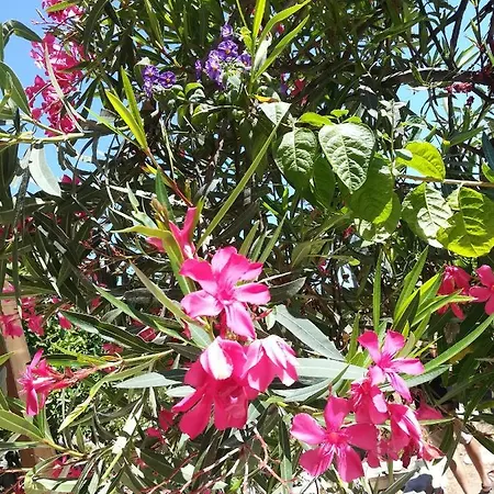 Ritmo Do Mar Apartment Quatrim do Sul