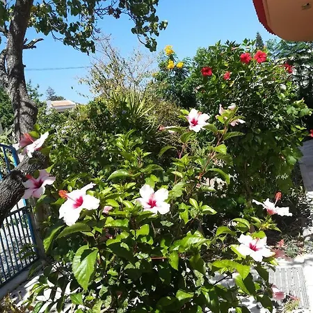 Apartment Ritmo Do Mar *
