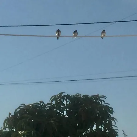 Ritmo Do Mar * Quatrim do Sul